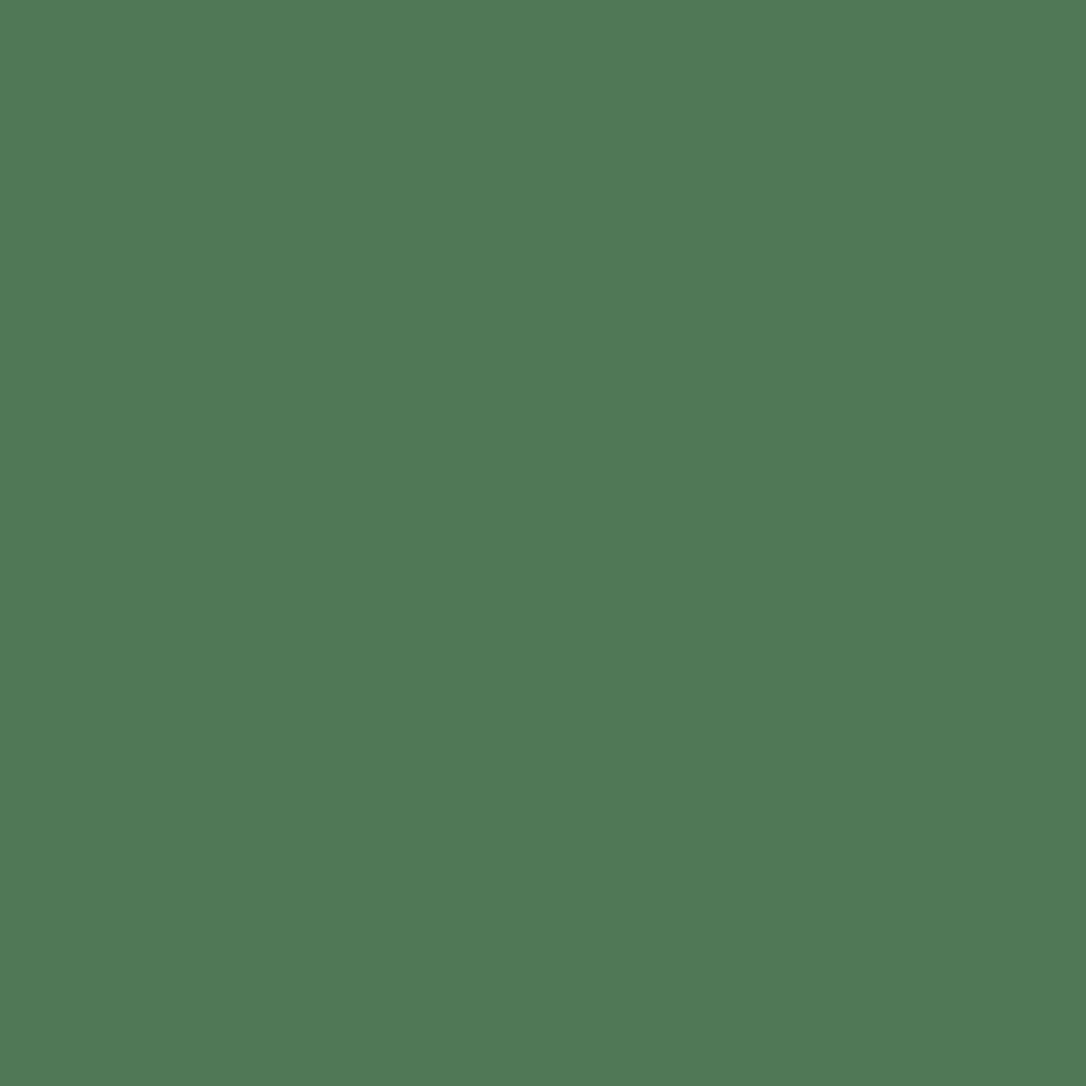 Carta de color - Spearmint