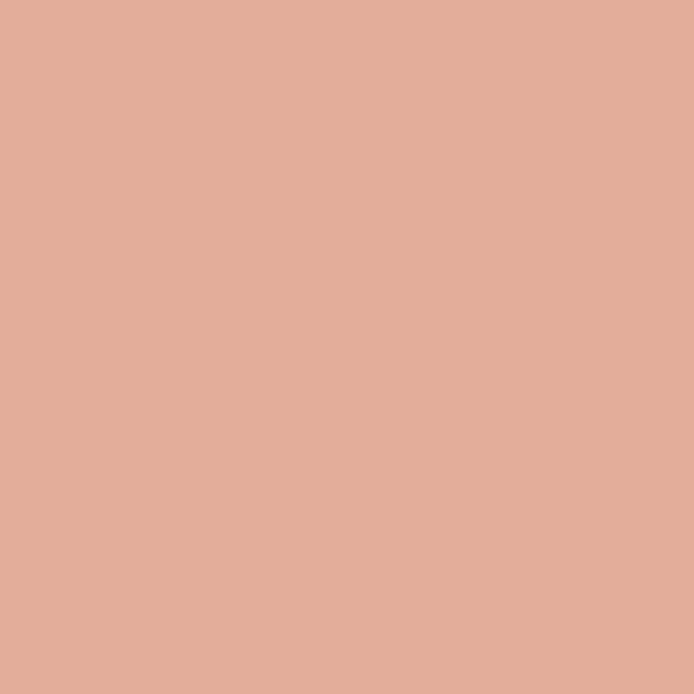 Pintura para macetas - Wild Rose