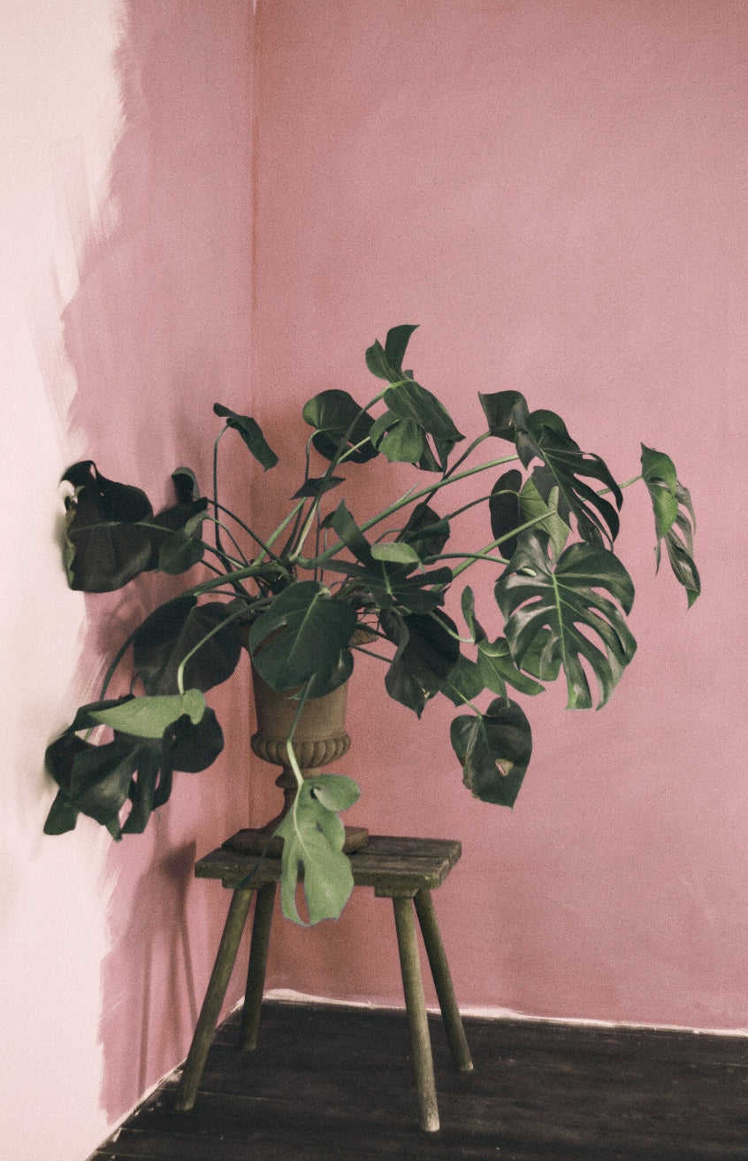 © Bauwerk Colour