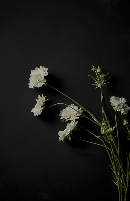 © Bauwerk Colour